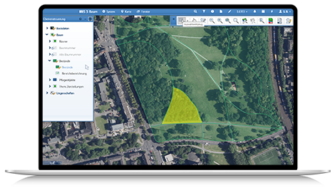 IRIS 3 Baum - Bereichserfassung